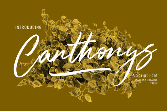 Canthonys Script Font for Handmade Branding and Printables