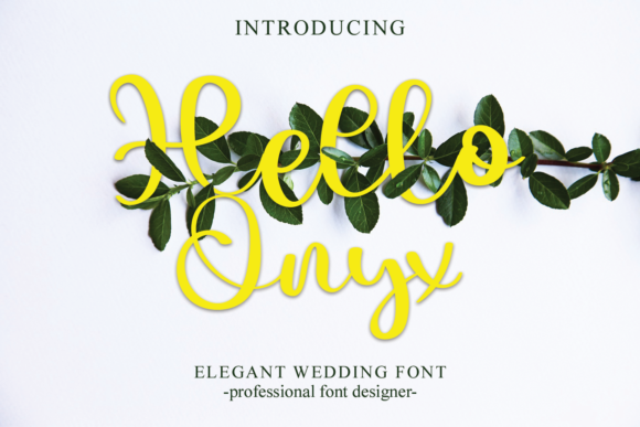 Hello Onyx: A Fashionable Script Font for Handmade Products