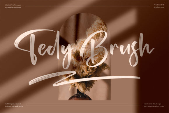 Tedy Brush: The Elegant Script Handwritten Font for High-Converting Campaigns