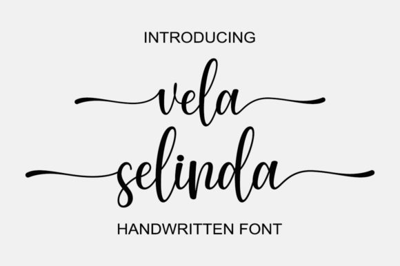 Vela Selinda Script Font for Elegant Branding